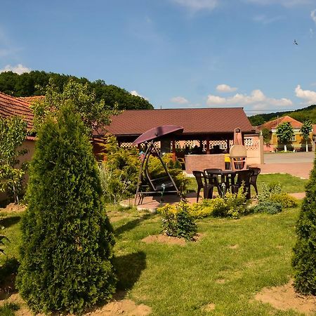 Pensiunea Anca Băile Felix Dış mekan fotoğraf
